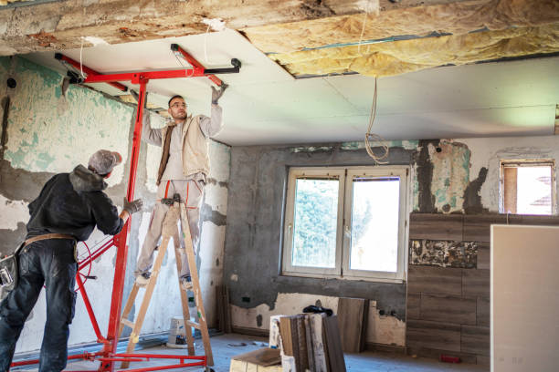 Best Types of Insulation in Brownlee Park, MI
