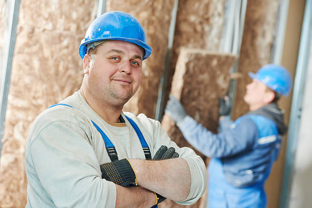 Best Insulation Materials and Products in Brownlee Park, MI